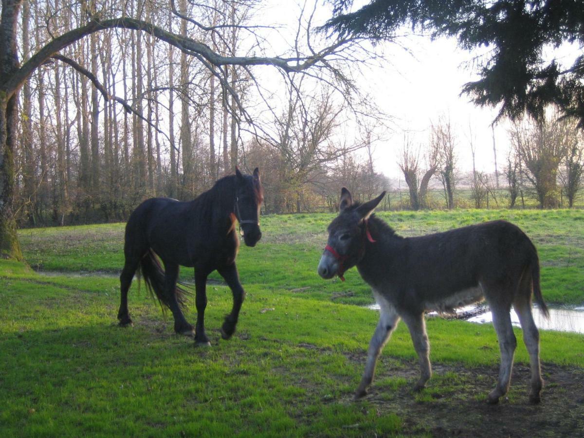 La Ferme De Tigny Villa Ngoại thất bức ảnh