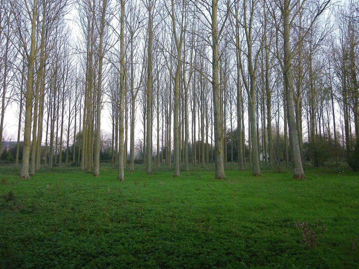 La Ferme De Tigny Villa Ngoại thất bức ảnh