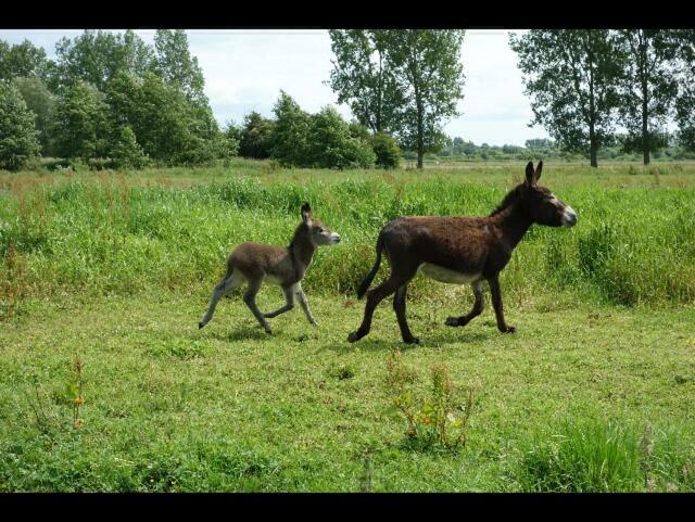 La Ferme De Tigny Villa Ngoại thất bức ảnh